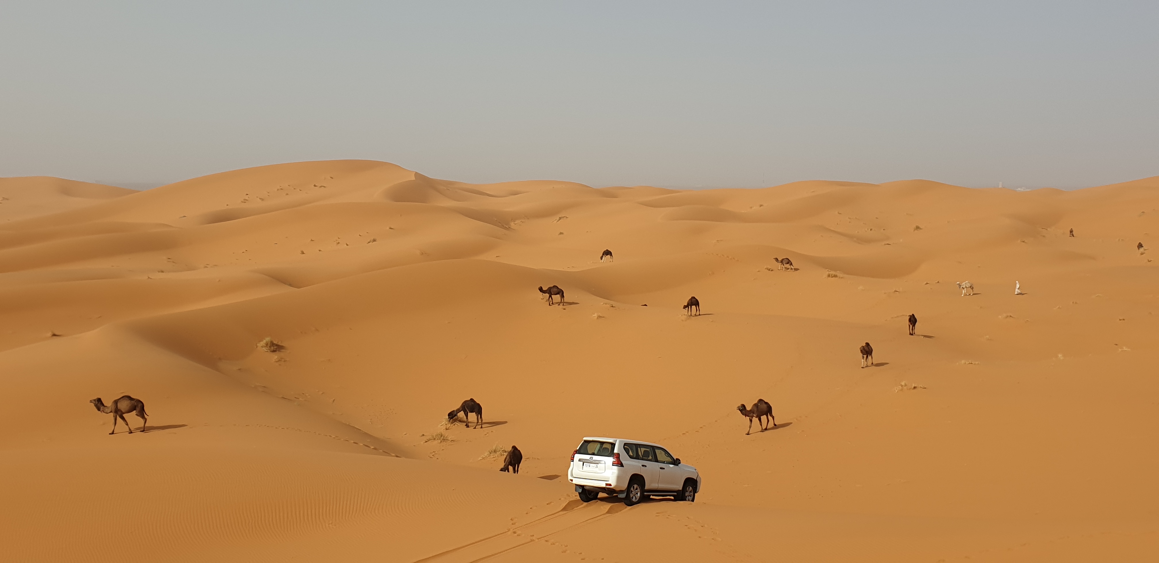 offroadaktiv Marokko Toyota Land Cruiser Reise